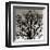 Early Winter Tree-Erin Clark-Framed Giclee Print