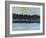 Early Winter Treeline-Tim Nyberg-Framed Giclee Print