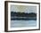 Early Winter Treeline-Tim Nyberg-Framed Giclee Print