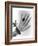 Early X-ray Photograph of a Hand Taken In 1896-Science Photo Library-Framed Photographic Print