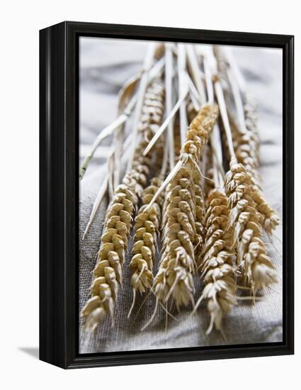 Ears of Rye on a Linen Cloth-Susanne Casper-zielonka-Framed Premier Image Canvas