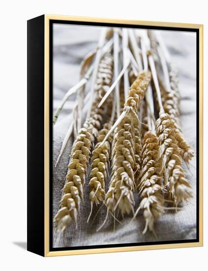 Ears of Rye on a Linen Cloth-Susanne Casper-zielonka-Framed Premier Image Canvas