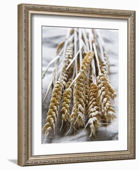 Ears of Rye on a Linen Cloth-Susanne Casper-zielonka-Framed Photographic Print