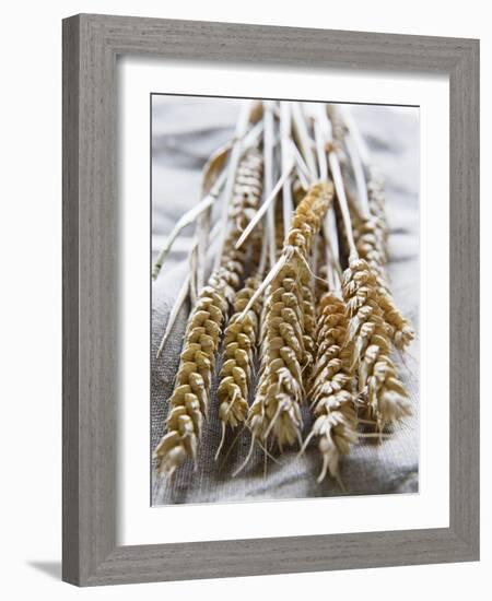 Ears of Rye on a Linen Cloth-Susanne Casper-zielonka-Framed Photographic Print