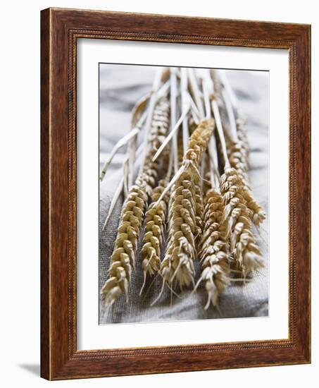 Ears of Rye on a Linen Cloth-Susanne Casper-zielonka-Framed Photographic Print