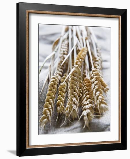 Ears of Rye on a Linen Cloth-Susanne Casper-zielonka-Framed Photographic Print