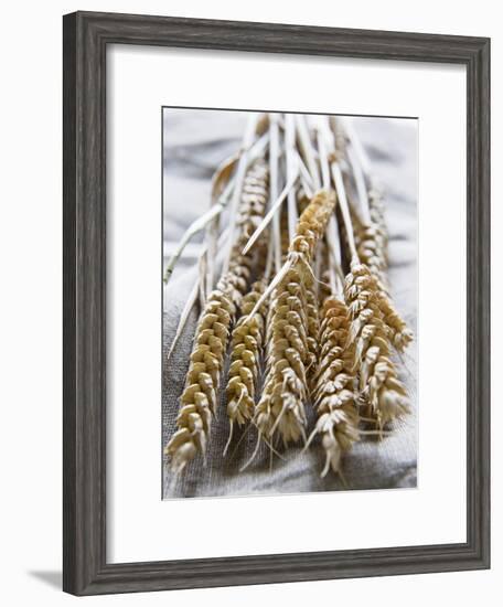 Ears of Rye on a Linen Cloth-Susanne Casper-zielonka-Framed Photographic Print