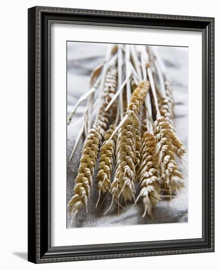 Ears of Rye on a Linen Cloth-Susanne Casper-zielonka-Framed Photographic Print