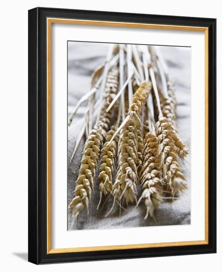 Ears of Rye on a Linen Cloth-Susanne Casper-zielonka-Framed Photographic Print