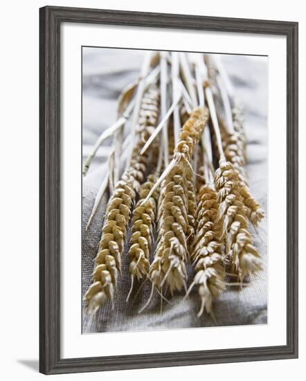 Ears of Rye on a Linen Cloth-Susanne Casper-zielonka-Framed Photographic Print