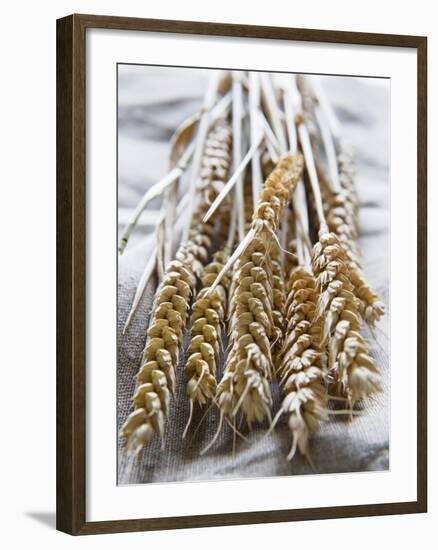 Ears of Rye on a Linen Cloth-Susanne Casper-zielonka-Framed Photographic Print