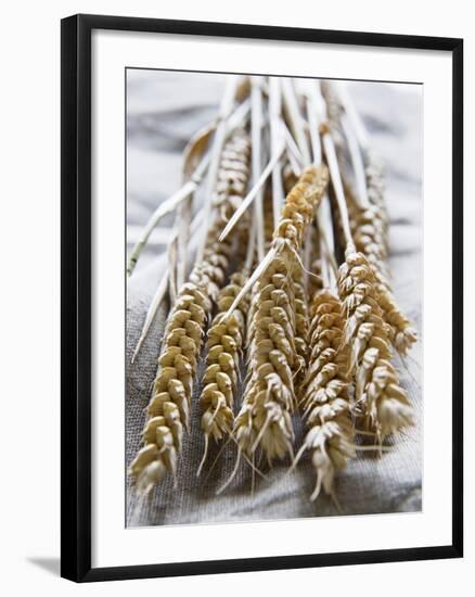 Ears of Rye on a Linen Cloth-Susanne Casper-zielonka-Framed Photographic Print