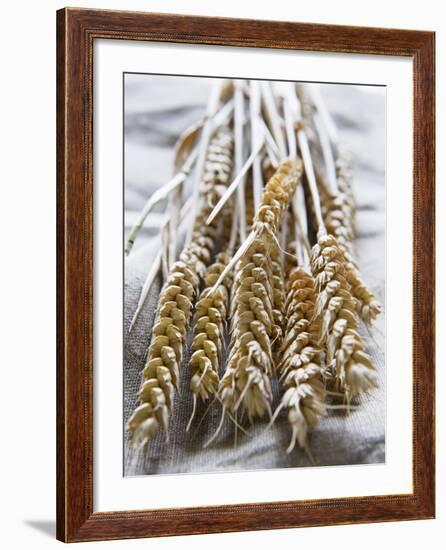 Ears of Rye on a Linen Cloth-Susanne Casper-zielonka-Framed Photographic Print