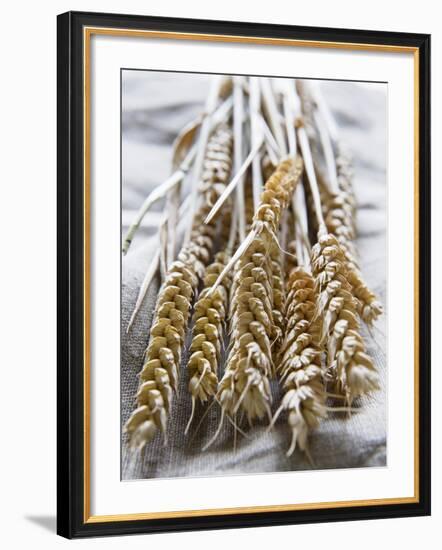 Ears of Rye on a Linen Cloth-Susanne Casper-zielonka-Framed Photographic Print