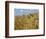 Ears of Wheat in Field-Monika Halmos-Framed Photographic Print