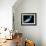 Earth And Moon, Artwork-Richard Bizley-Framed Photographic Print displayed on a wall