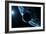 Earth And Moon, Artwork-SCIEPRO-Framed Photographic Print