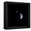 Earth and Moon in a Single Photographic Frame-null-Framed Stretched Canvas