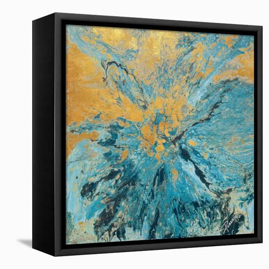 Earth and Water-Roberto Gonzalez-Framed Stretched Canvas