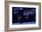 Earth at Night, Satellite Image-null-Framed Photographic Print