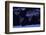 Earth at Night, Satellite Image-null-Framed Photographic Print