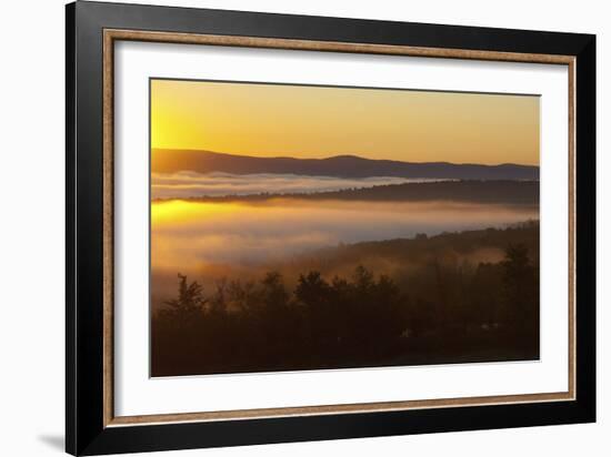 Earth Awakes-Orah Moore-Framed Art Print