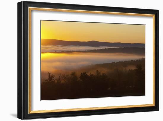 Earth Awakes-Orah Moore-Framed Art Print