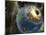 Earth Being Hit by a Planet Killing Meteorite-null-Mounted Photographic Print
