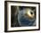 Earth Being Hit by a Planet Killing Meteorite-null-Framed Photographic Print