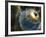 Earth Being Hit by a Planet Killing Meteorite-null-Framed Photographic Print