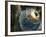 Earth Being Hit by a Planet Killing Meteorite-null-Framed Photographic Print