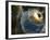 Earth Being Hit by a Planet Killing Meteorite-null-Framed Photographic Print