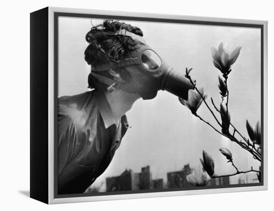 Earth Day, New York, New York, c.1970-null-Framed Premier Image Canvas