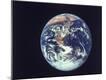 Premium Photographic Print