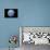 Earth From Space, Artwork-Detlev Van Ravenswaay-Mounted Photographic Print displayed on a wall