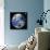 Earth From Space, Satellite Image-null-Giclee Print displayed on a wall