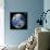 Earth From Space, Satellite Image-null-Mounted Giclee Print displayed on a wall