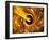 Earth In a Black Hole, Artwork-Mehau Kulyk-Framed Photographic Print