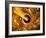 Earth In a Black Hole, Artwork-Mehau Kulyk-Framed Photographic Print