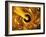 Earth In a Black Hole, Artwork-Mehau Kulyk-Framed Photographic Print