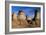 Earth Pillars (hoodoos) In Alberta Badlands Canada-David Nunuk-Framed Photographic Print