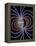 Earth's Magnetic Field-Roger Harris-Framed Premier Image Canvas