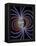 Earth's Magnetic Field-Roger Harris-Framed Premier Image Canvas