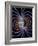 Earth's Magnetic Field-Roger Harris-Framed Photographic Print