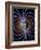 Earth's Magnetic Field-Roger Harris-Framed Photographic Print