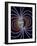 Earth's Magnetic Field-Roger Harris-Framed Photographic Print