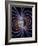 Earth's Magnetic Field-Roger Harris-Framed Photographic Print