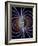 Earth's Magnetic Field-Roger Harris-Framed Photographic Print