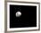 Earth's Moon and Jupiter Separated by Six Degrees-Stocktrek Images-Framed Photographic Print