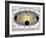 Earth's Orbit Around Sun-Science Source-Framed Giclee Print